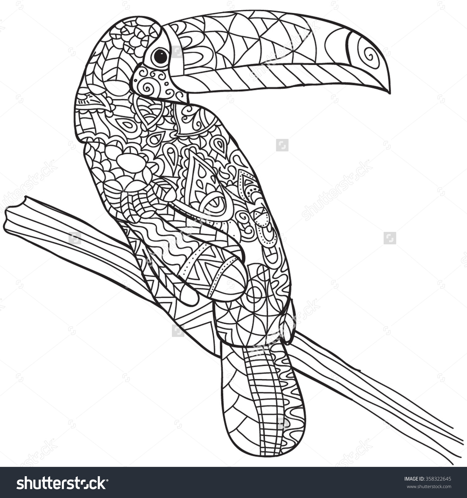 1500x1600 Coloring Toucan Coloring Page