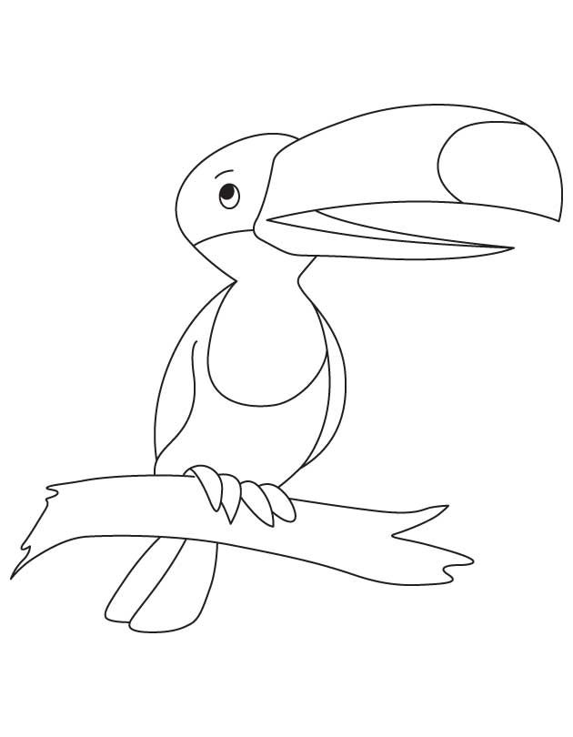 630x810 Toco Toucan Coloring Pages