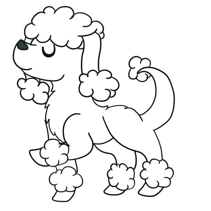 736x736 Poodle Coloring Page Poodle Coloring Page Poodle Coloring Pages