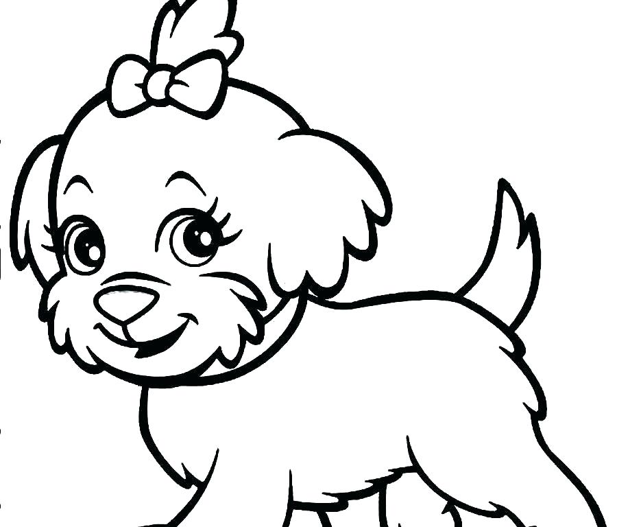 900x768 Poodle Coloring Pages Related Post Standard Poodle Coloring Pages