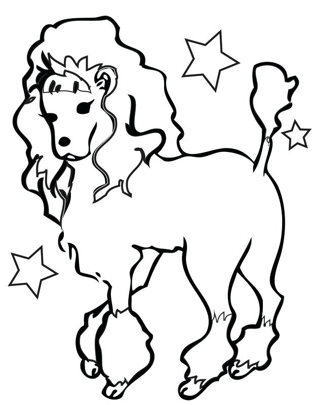 618x800 Poodle Coloring Pages Standard Miniature And Toy Poodles Coloring