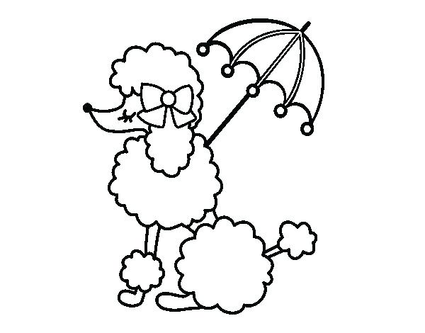 600x470 Poodle Pictures To Color