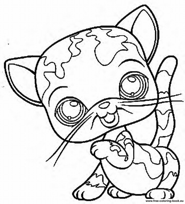 723x800 My Little Pets Shop Colouring Pages Art Coloring Pages