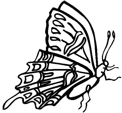 462x429 Butterfly Design Coloring Pages Hd Wallpapers
