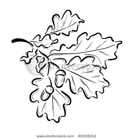 450x468 Track And Field Coloring Pages Oak Leaf With Acorns Coloring Page