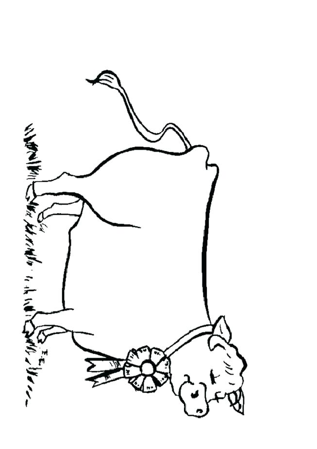 Tractor Trailer Coloring Pages Tractor Trailer Coloring Pages This 653x924 Tractor Trailer Coloring Pages Tractor Trailer Coloring Pages This