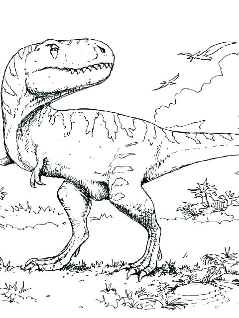 Dinosaur Train Coloring Page Free Dinosaur Train Coloring Pages 480x640 Dinosaur Train Coloring Page Free Dinosaur Train Coloring Pages