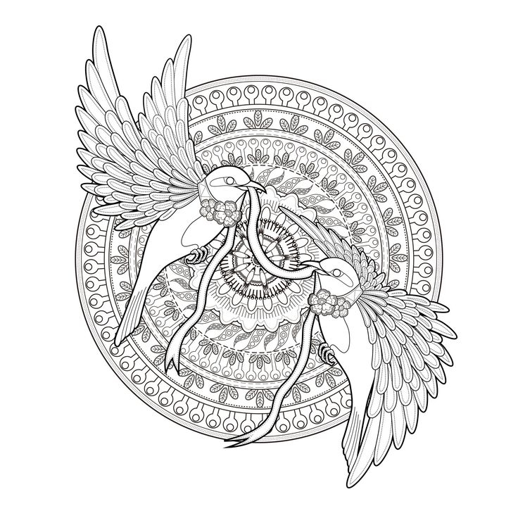 Adult Coloring Pages Mandala Transparent Background Download 736x736 Adult Coloring Pages Mandala Transparent Background Download