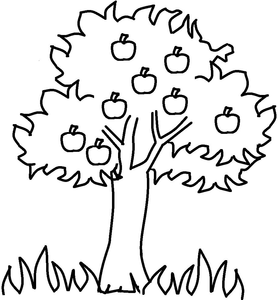 Tree Coloring Pages