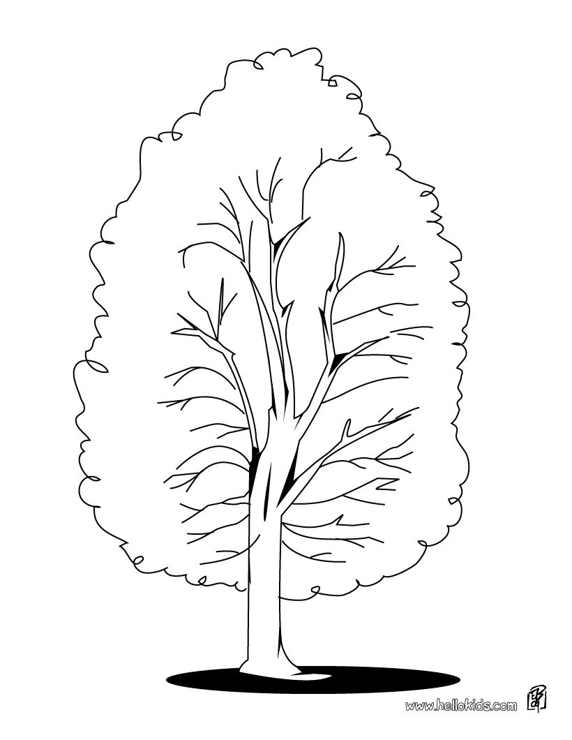 820x1060 Tree Coloring Pages