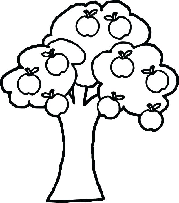 618x702 Coloring Page Of An Apple Apple Tree Coloring Sheets Apple Tree