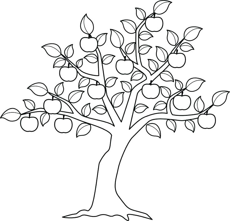 736x708 Fall Tree Coloring Page Coloring Pages Tree Leaf Fall Tree