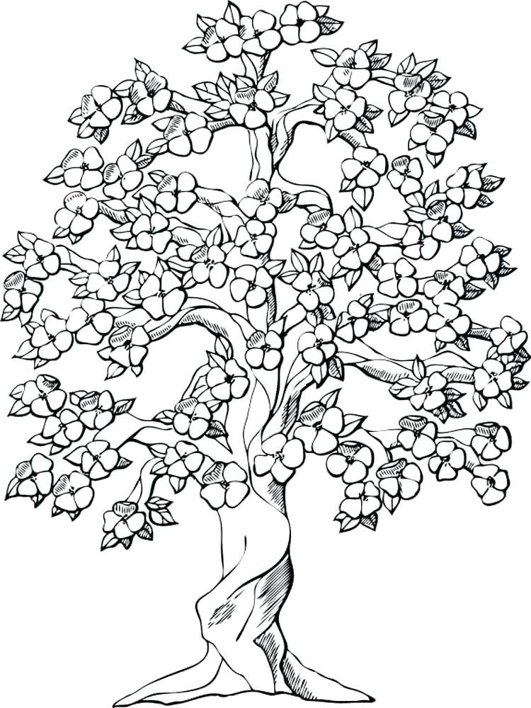 750x1000 Coloring Pages Of Trees Adult Coloring Pages Tree Coloring Pages