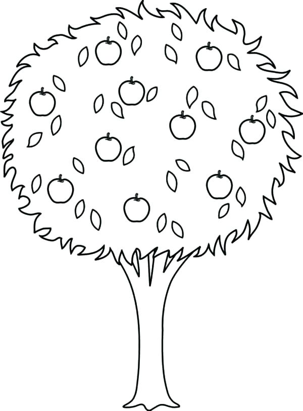 600x813 Plain Christmas Tree Coloring Page Tree Coloring Pages Plain Ideas