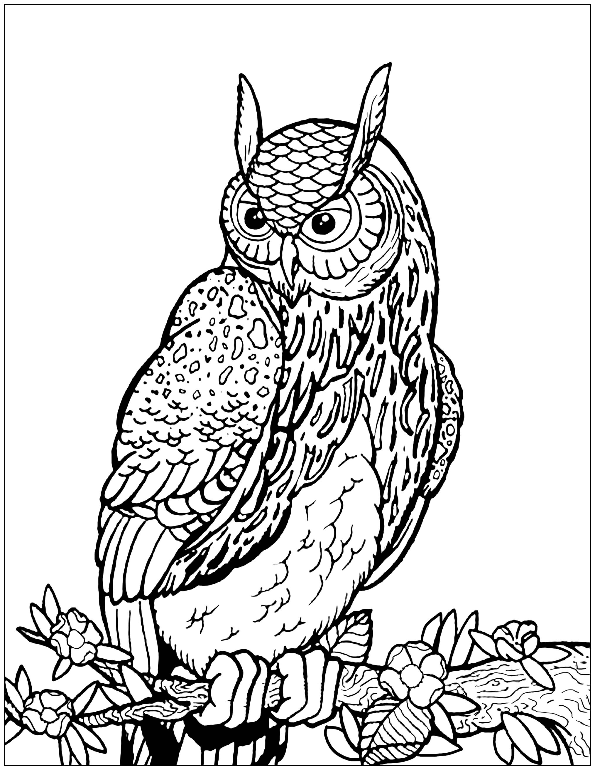 Tree Coloring Pages For Adults at GetColorings.com | Free printable ...