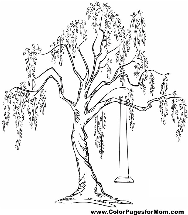 640x733 Tree Coloring Pages For Adults