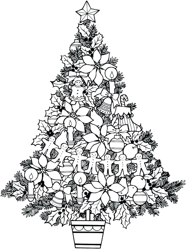 736x987 Tree Coloring Pages For Adults Palm Tree More Coloring Pages Free
