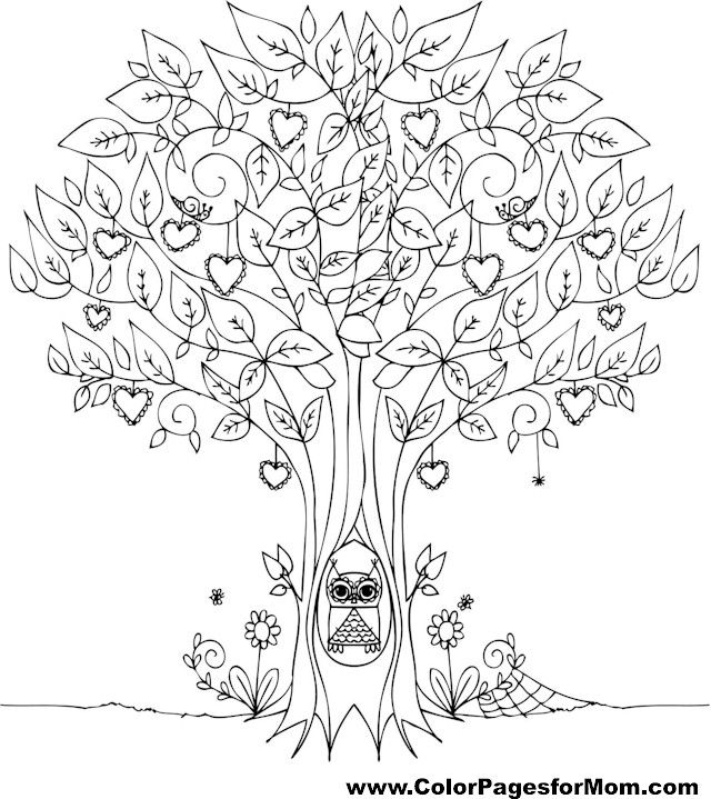 640x719 2867 Best Paint Night Images On Coloring Books