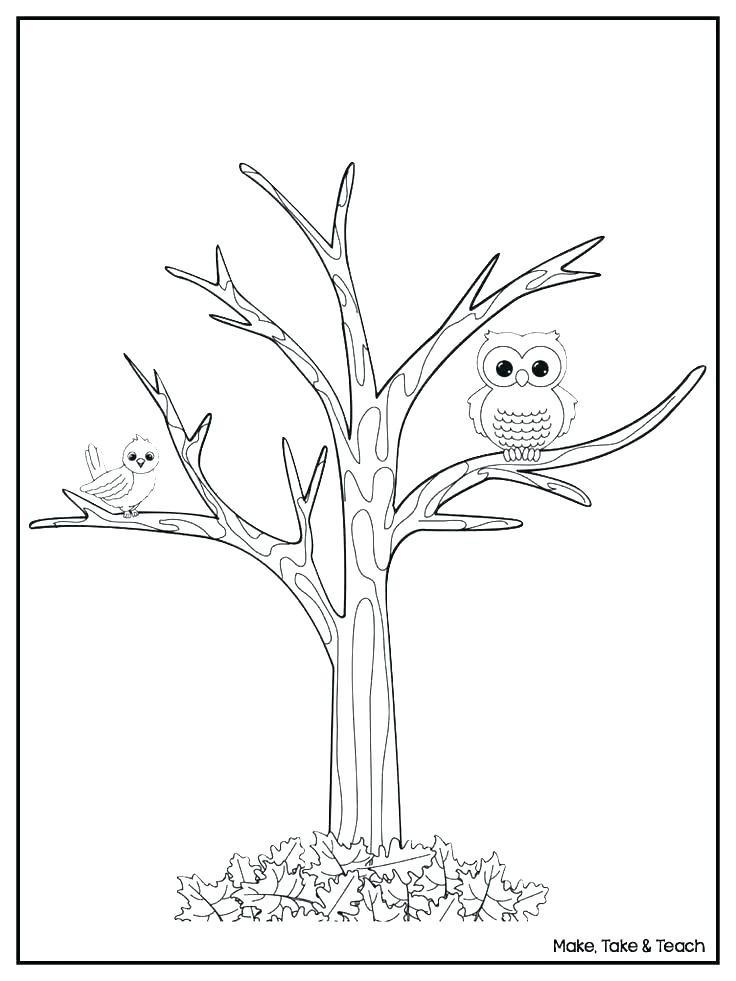 Fall Tree Coloring Pages Kids Coloring Tree Coloring Sheets 736x981 Fall Tree Coloring Pages Kids Coloring Tree Coloring Sheets