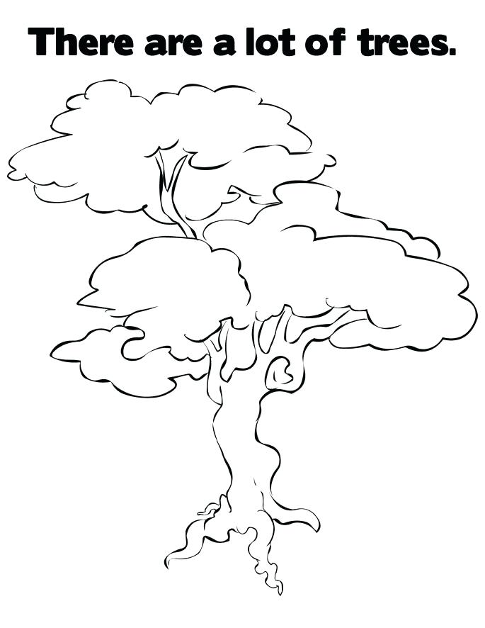 Free Printable Tree Coloring Pages For Kids Pecan Tree Coloring 685x886 Free Printable Tree Coloring Pages For Kids Pecan Tree Coloring