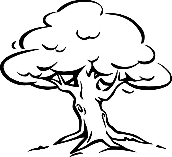 Oak Tree Coloring Page For Kids Color Luna 600x548 Oak Tree Coloring Page For Kids Color Luna