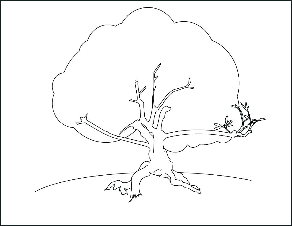 Printable Tree Coloring Pages Fall Tree Coloring Page Free 985x762 Printable Tree Coloring Pages Fall Tree Coloring Page Free
