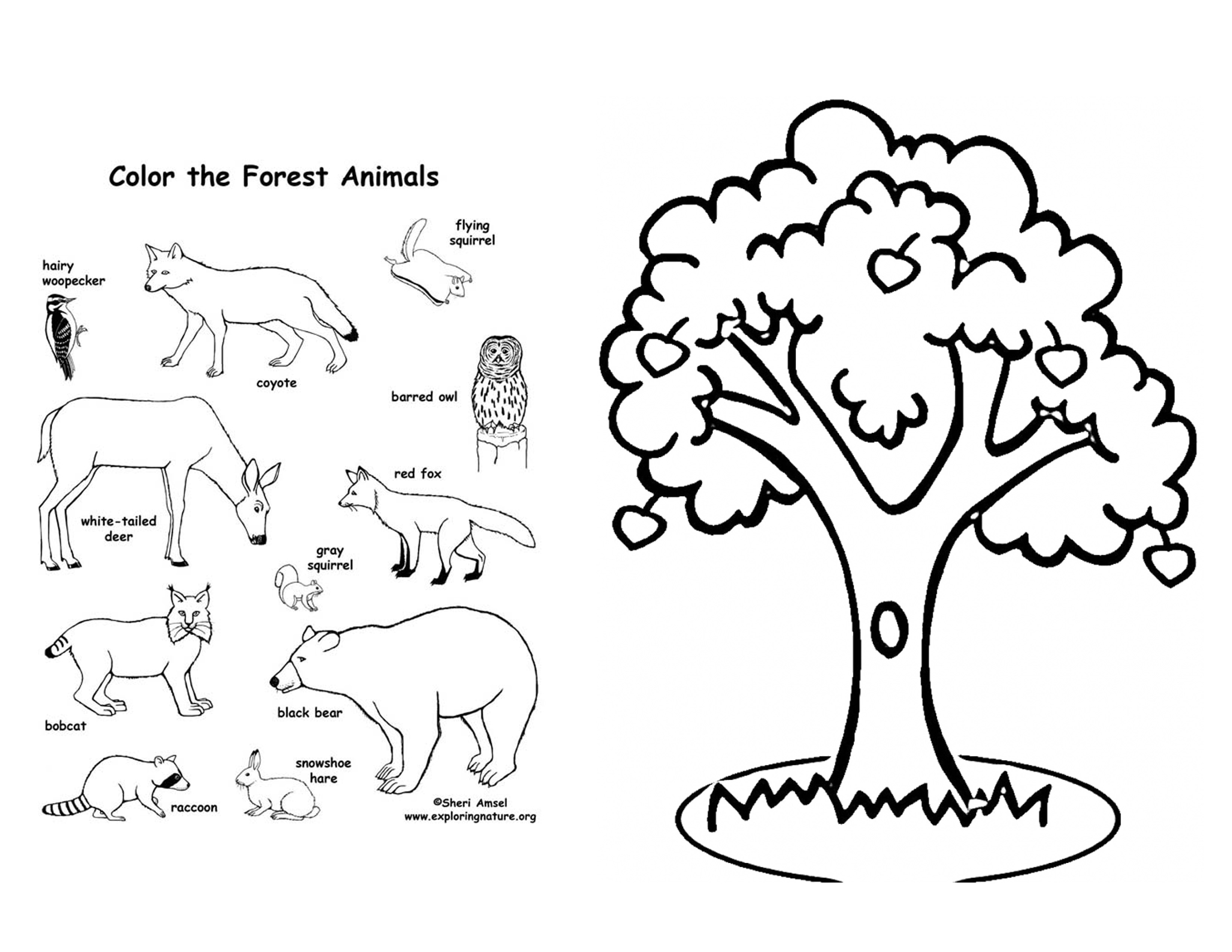 The Last Fairy Apple Tree Coloring Pages Printable Coloring 3300x2550 The Last Fairy Apple Tree Coloring Pages Printable Coloring