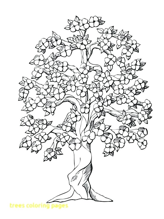 Autumn Trees Coloring Pages Kids Coloring Fall Tree Coloring Page 688x917 Autumn Trees Coloring Pages Kids Coloring Fall Tree Coloring Page