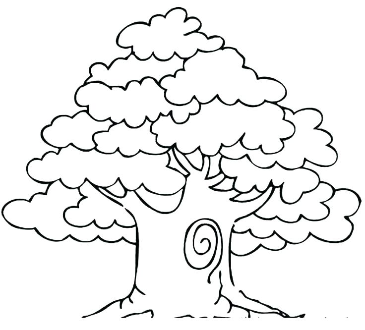 Printable Tree Coloring Pages 736x666 Printable Tree Coloring Pages