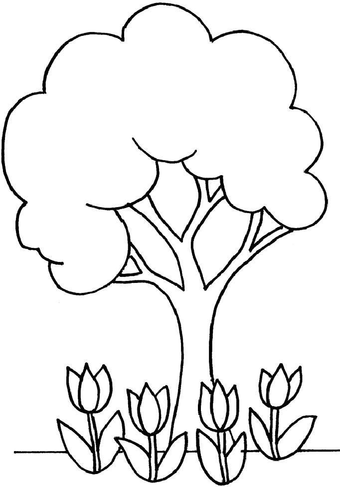 Coloring Pages Of Trees Printable Coloring Pages Trees Project 682x976 Coloring Pages Of Trees Printable Coloring Pages Trees Project