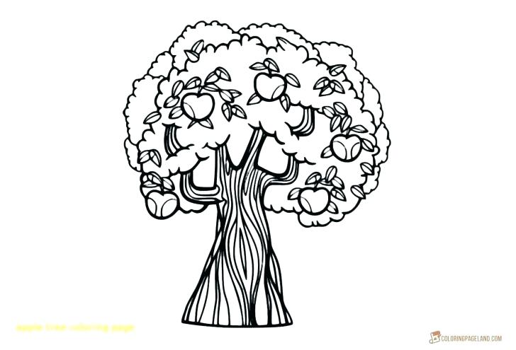 Tree Coloring Pages Free Printable