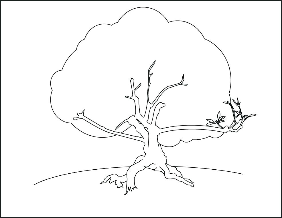 985x762 The Giving Tree Coloring Pages Free Printable Tree Coloring Pages
