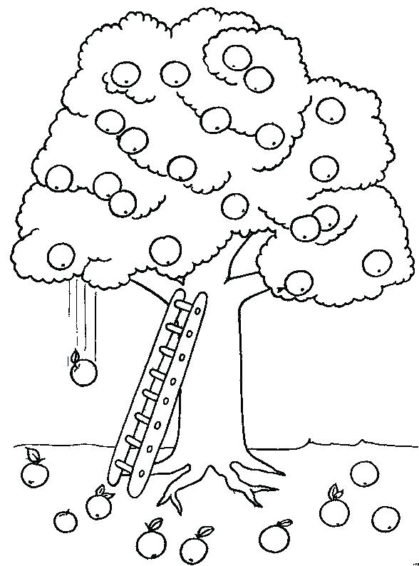 588x794 Apple Tree Coloring Pages Coloring Picture Of A Tree Coloring