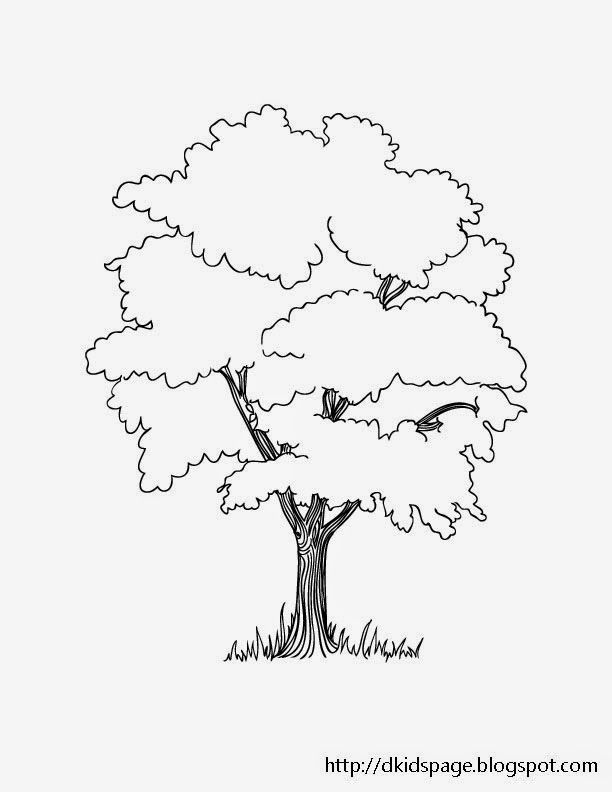 612x792 Download Printable Tree Coloring Pages For Kids Dkidspage