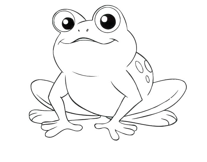 Printable Frog Coloring Pages Tree Frog Coloring Pages Frogs 700x547 Printable Frog Coloring Pages Tree Frog Coloring Pages Frogs
