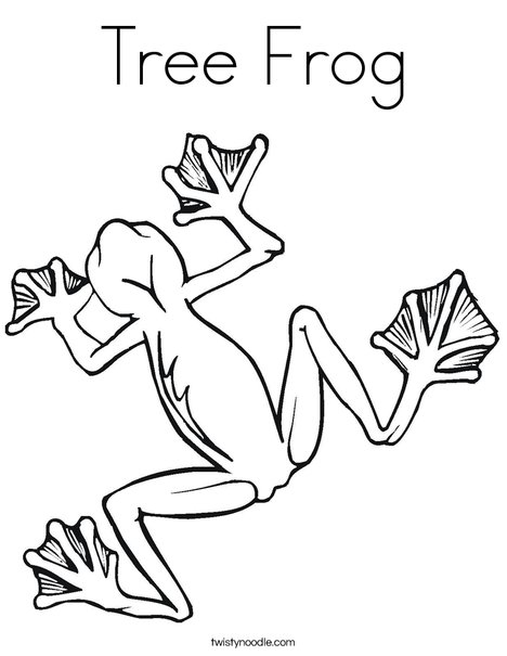 Tree Frog Coloring Page 468x605 Tree Frog Coloring Page