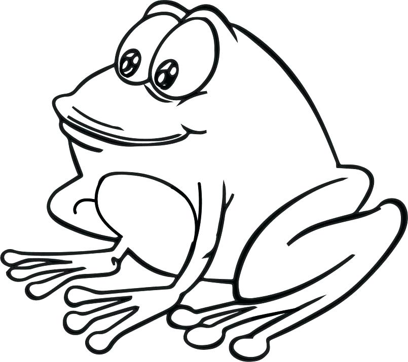 Tree Frog Coloring Page Frog Coloring Pages Coloring Pages 805x715 Tree Frog Coloring Page Frog Coloring Pages Coloring Pages