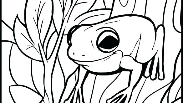 Tree Frog Coloring Pages 585x329 Tree Frog Coloring Pages