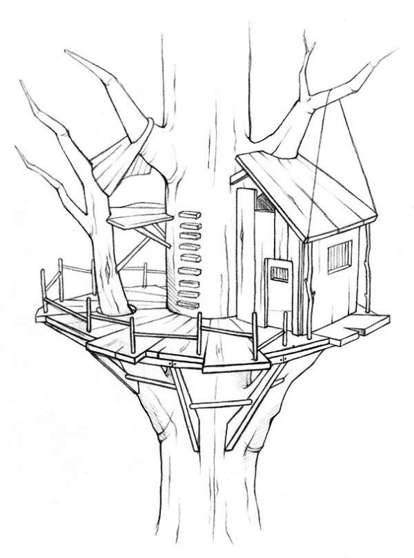 594x799 Kids N 11 Coloring Pages Of Treehouse