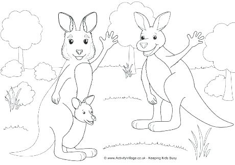 Kangaroo Coloring Pages Kangaroo Coloring Page Kangaroo Colouring 460x324 Kangaroo Coloring Pages Kangaroo Coloring Page Kangaroo Colouring