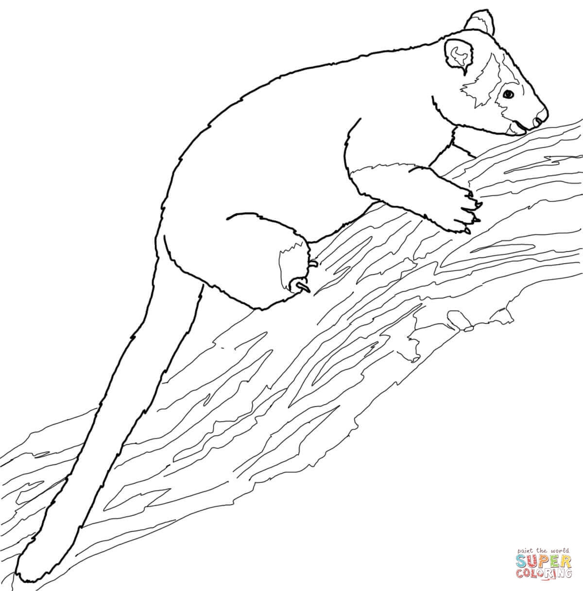 Coloring Pages Kangaroo 1200x1216 Coloring Pages Kangaroo