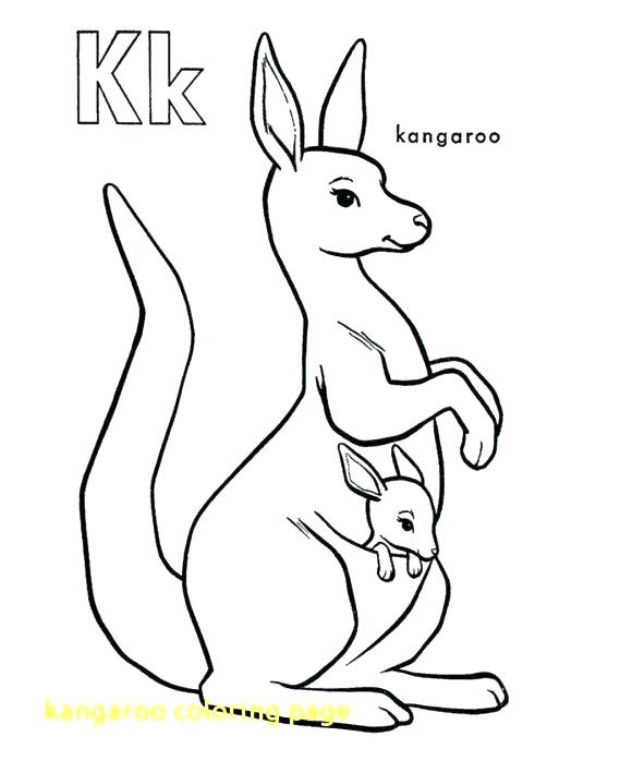 Coloring Pages Kangaroo Goodjelly.co 580x709 Coloring Pages Kangaroo Goodjelly.co