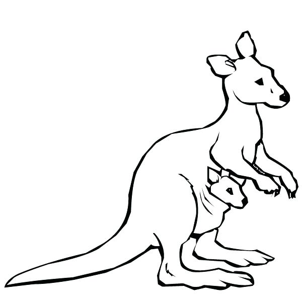 Tree Kangaroo Coloring Pages at GetColorings.com | Free printable ...