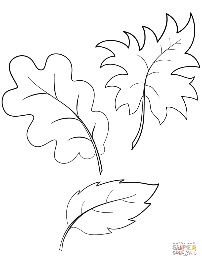 Fall Tree Leaves Coloring Pages Download Coloring For Kids 2018 813x1052 Fall Tree Leaves Coloring Pages Download Coloring For Kids 2018