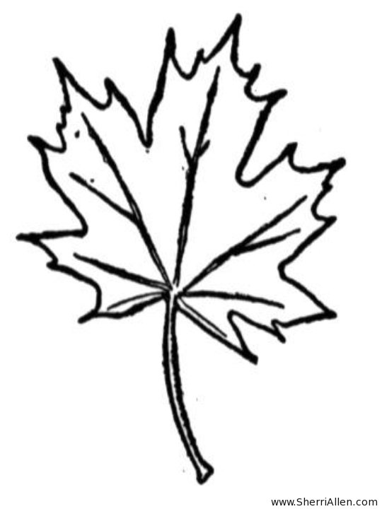 Kids N 19 Coloring Pages Of Trees And Leaves 540x720 Kids N 19 Coloring Pages Of Trees And Leaves