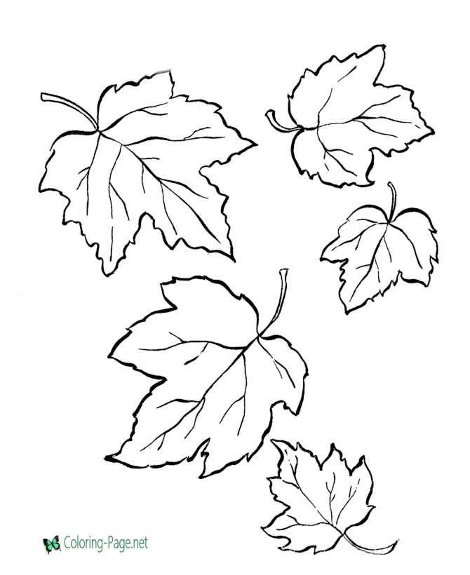 Tree Leaves Coloring Pages 670x820 Tree Leaves Coloring Pages