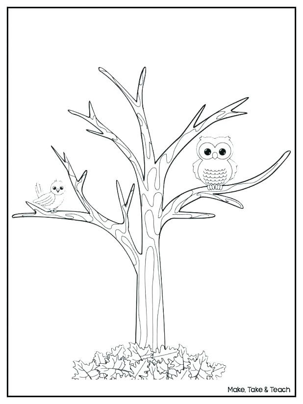 Tree Printable Coloring Pages Kids Coloring Tree Leaves Coloring 618x824 Tree Printable Coloring Pages Kids Coloring Tree Leaves Coloring
