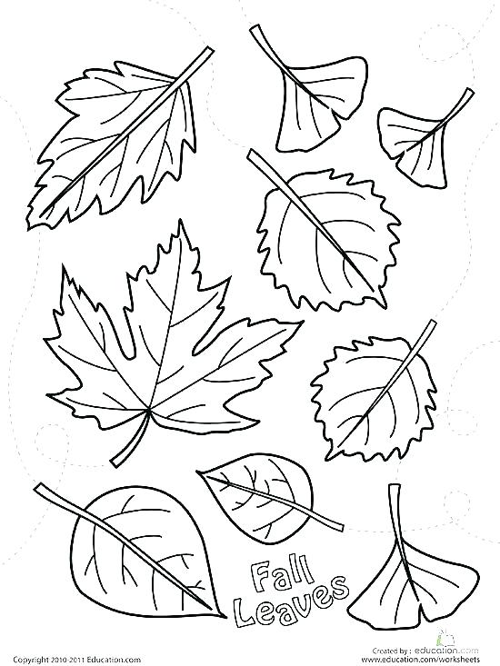 Tree Without Leaves Coloring Page Trees Coloring Pages Marvelous 550x733 Tree Without Leaves Coloring Page Trees Coloring Pages Marvelous