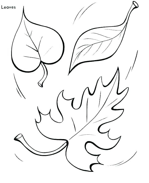 Tree Leaves Coloring Pages at GetColorings.com | Free printable ...