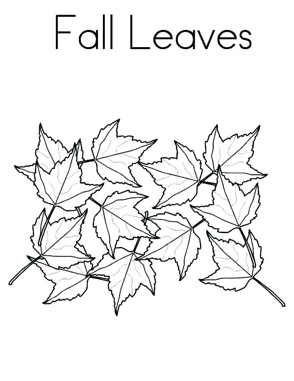 Tree Leaves Coloring Pages at GetColorings.com | Free printable ...